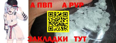 шишки Славгород