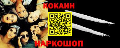 шишки Славгород