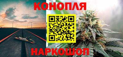 гидропоника Сланцы