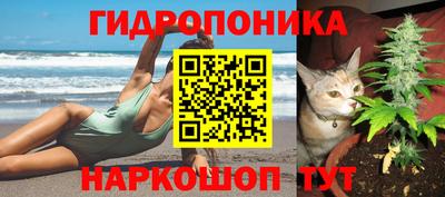 тгк Славянск-на-Кубани