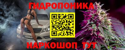 гидропоника Сланцы