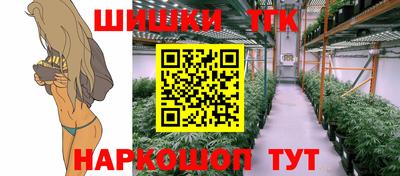 шишки Славгород