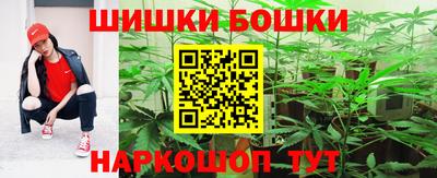 шишки Славгород