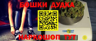 шишки Славгород