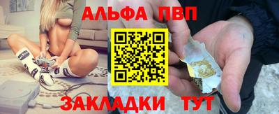 шишки Славгород